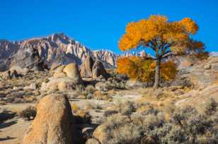 The Alabama Hills-0043 The Alabama Hills-0043